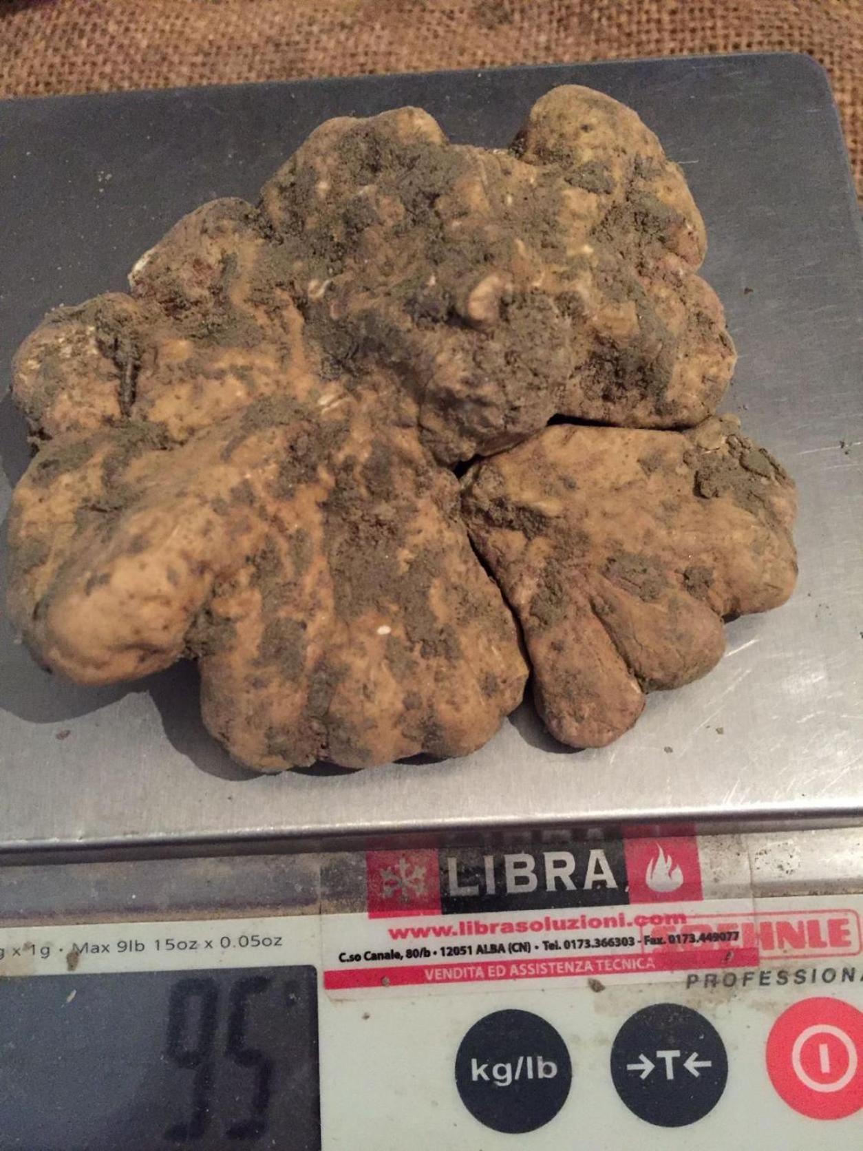 Peiragal Lägenhet La Morra Exteriör bild